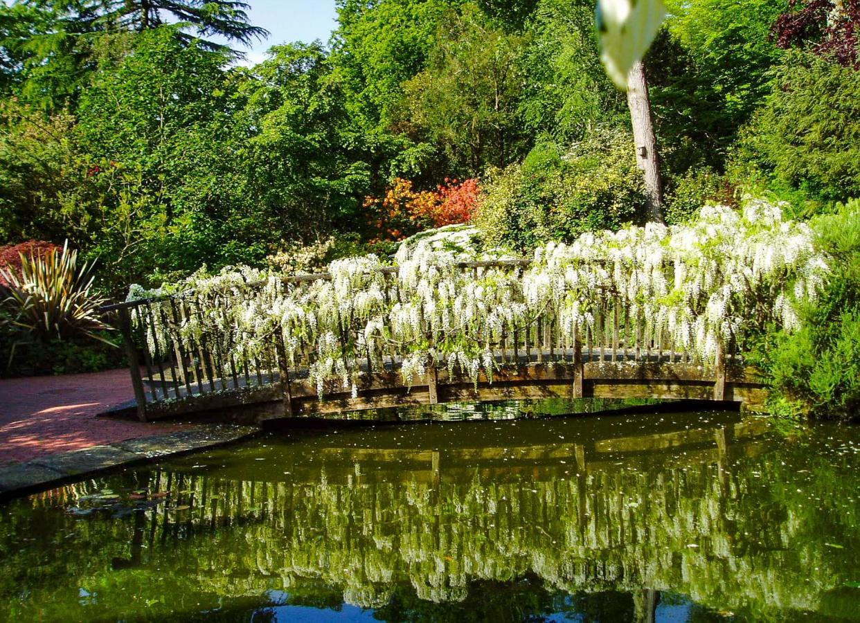 Hotel Pinetum Gardens Retreats St Austell Exterior foto